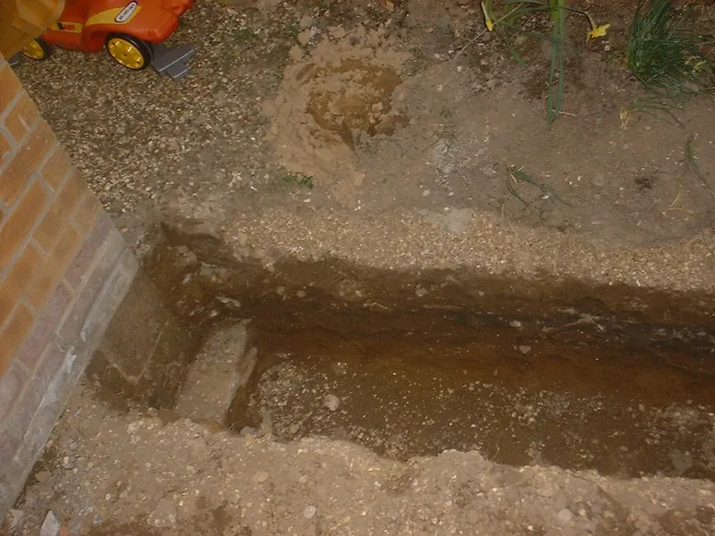 Free Survey — Gallery Chelsea